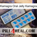 Kamagra Oral Jelly Kamagra new15